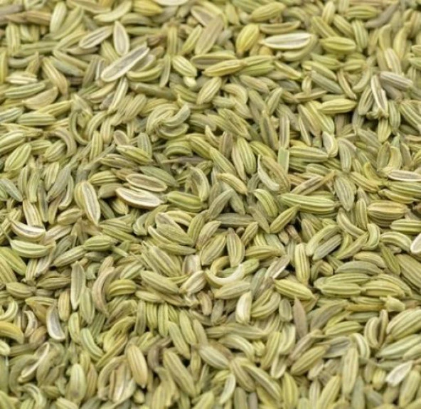 Yerli Ata Tohumu Rezene 100 Adet ürün görseli 1