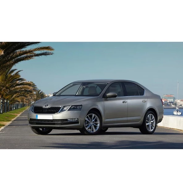 Skoda Octavia 3 2013-2020 Kaput Destek Demiri Tutucu Klipsi 1U0823397 - 3