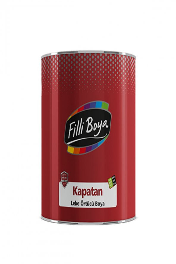 Filli Kapatan Leke Örtücü Boya 0,25lt