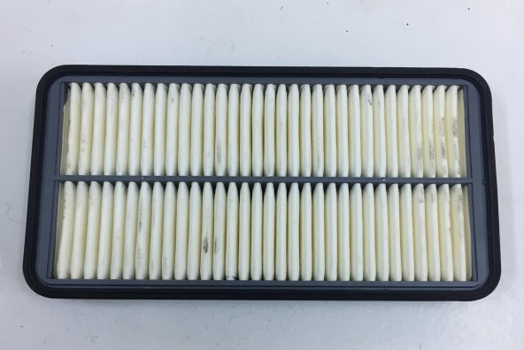 CARİNA HAVA FİLTRESİ ürün görseli 1