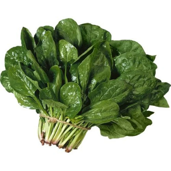 Yerli Ata Tohumu Geniş Yaprak Ispanak 100 Adet ürün görseli 1