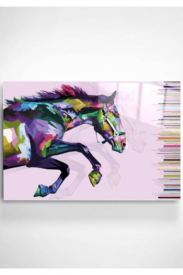 Digi-art Colorful Horse Cam Tablo 50x70