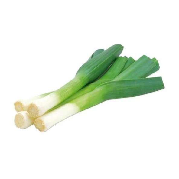 Yerli Ata Tohumu Kara Pırasa 100 Adet ürün görseli 1