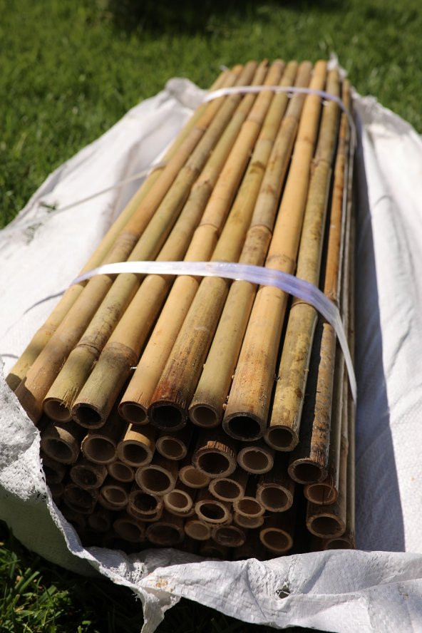 Bambu Çit / Paravan 200 Cm X 200 Cm - 7