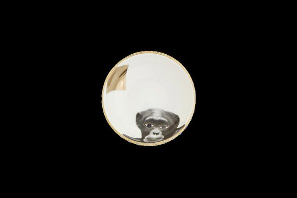 Porland Wild Life Monkey Kase 10cm