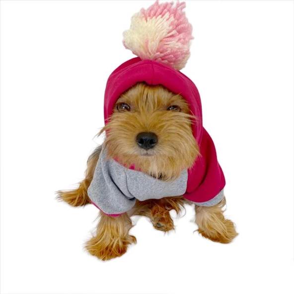 Pink Amigo Kapşonlu Sweatshirt Köpek Kıyafeti Köpek Elbisesi