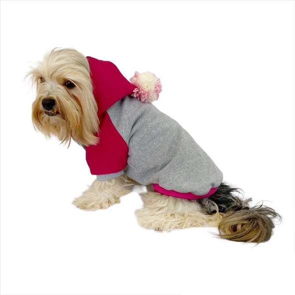 Pink Amigo Kapşonlu Sweatshirt Köpek Kıyafeti Köpek Elbisesi - 4
