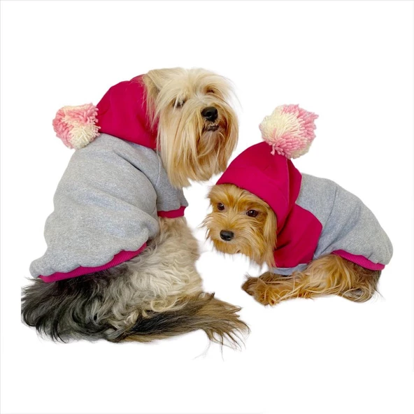 Pink Amigo Kapşonlu Sweatshirt Köpek Kıyafeti Köpek Elbisesi - 7