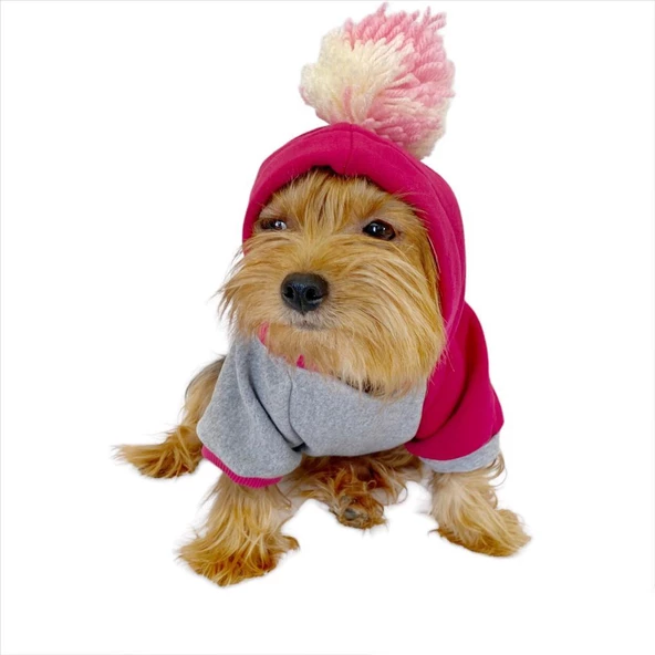 Pink Amigo Kapşonlu Sweatshirt Köpek Kıyafeti Köpek Elbisesi - 3