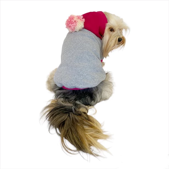Pink Amigo Kapşonlu Sweatshirt Köpek Kıyafeti Köpek Elbisesi - 2