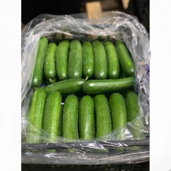 60X90 KASA TORBASI, 500 ADET KÖRÜKLÜ KOLİ TORBASI, EFOR SALATALIK PATLICAN MEYVE SEBZE KORUMA TORBASI, KASA POŞETİ, EKMEK KASASI POŞETİ - 2