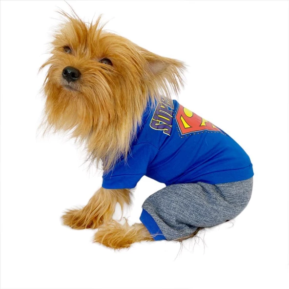 Superman Penye Tulum Köpek Tulumu Köpek Elbisesi - 2