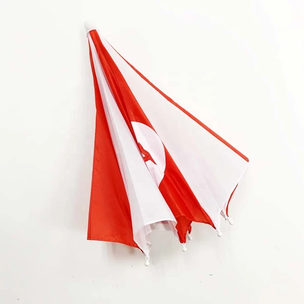 Kırmızı - Beyaz - Resim 2