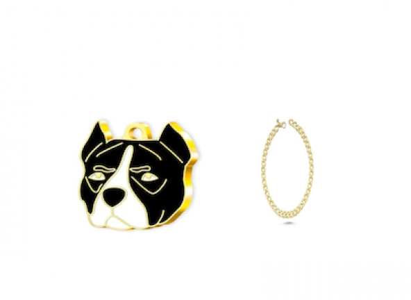 Altın Kaplama Pitbull Köpek Künyesi+kedi Köpek Kolyesi