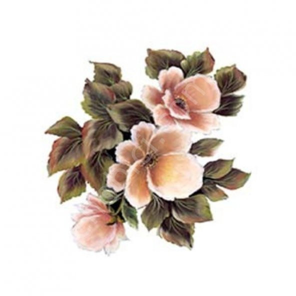 G164 17x25 Gülsün Ülkü - Resim 2