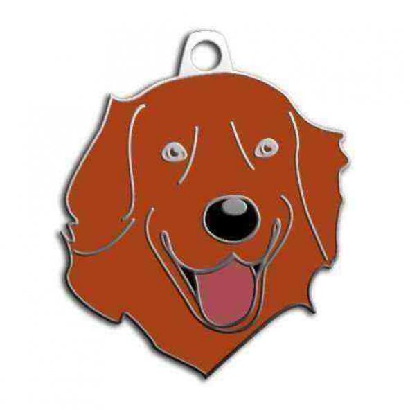 Kızıl Golden Retriever Köpek Künyesi