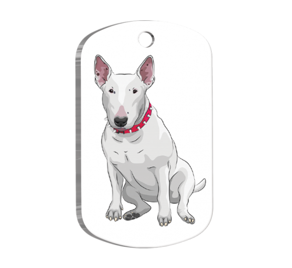Bull Terrier Resimli Köpek Künyesi