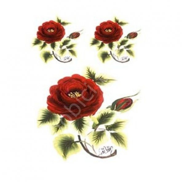 G07 17x25 Gülsün Ülkü - Resim 2