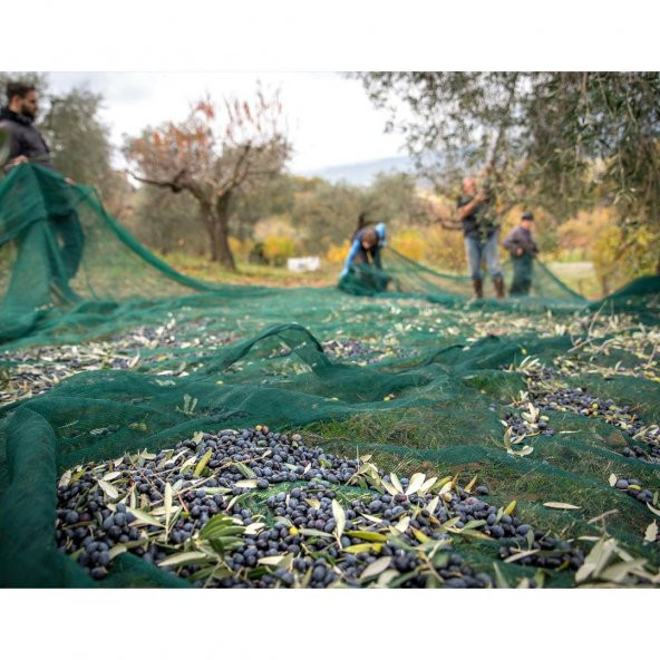 3X6 METRE ZEYTİN SERGİSİ ZEYTİN TOPLAMA FİLESİ FINDIK FISTIK ÖRTÜSÜ GÖLGELİK DUT MEYVE SERGİSİ TABAN ÖRTÜSÜ - 3