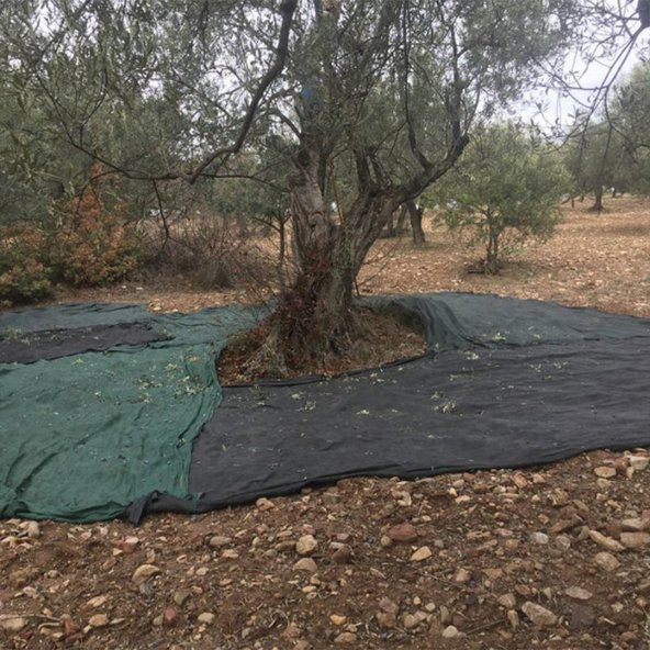 3X8 METRE ZEYTİN SERGİSİ ZEYTİN TOPLAMA FİLESİ FINDIK FISTIK ÖRTÜSÜ GÖLGELİK DUT MEYVE SERGİSİ TABAN ÖRTÜSÜ - 4