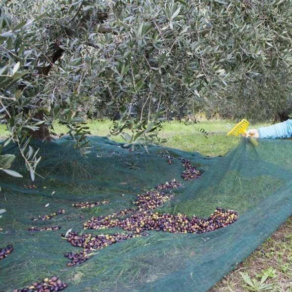 3X8 METRE ZEYTİN SERGİSİ ZEYTİN TOPLAMA FİLESİ FINDIK FISTIK ÖRTÜSÜ GÖLGELİK DUT MEYVE SERGİSİ TABAN ÖRTÜSÜ - 7