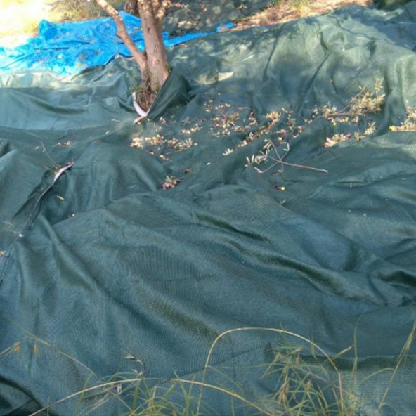 3X8 METRE ZEYTİN SERGİSİ ZEYTİN TOPLAMA FİLESİ FINDIK FISTIK ÖRTÜSÜ GÖLGELİK DUT MEYVE SERGİSİ TABAN ÖRTÜSÜ - 8