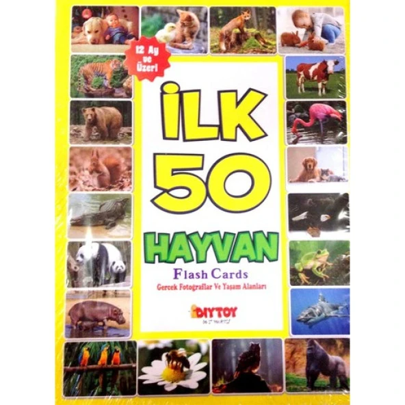 Diytoy İlk 50 Hayvan Flash Cards Hafıza Kartları Orijinal Ürün