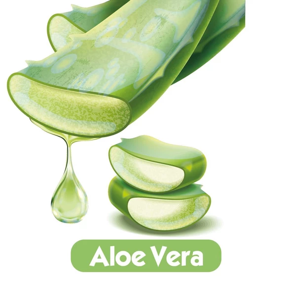 Baby Turco Softcare Aloe Vera Islak Bebek Havlusu 12x90 Yaprak - 4