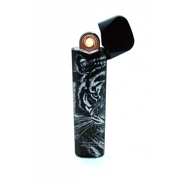 Aslan Usb Şarjlı Elektronik Renkli