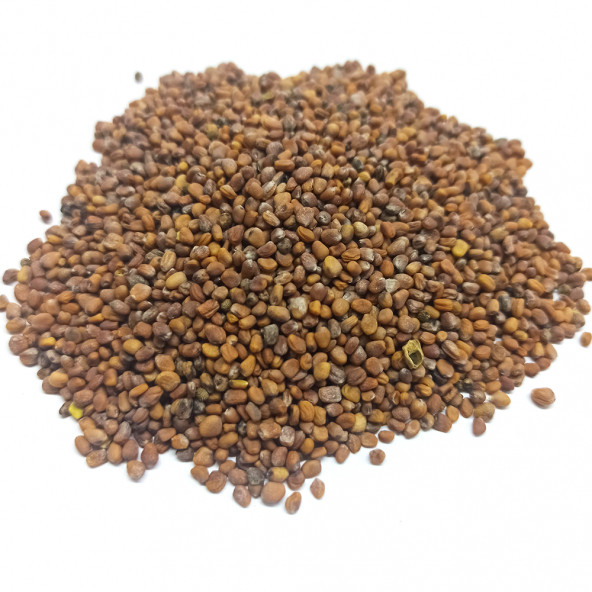 Naturdan Turp Tohumu Kırmızı 100 gr - 2