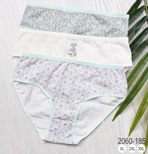 BAYAN KÜLOT-BİG SİZE (3li Paket) ürün görseli