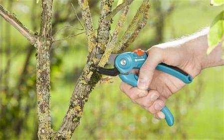 Gardena 8855 Bahçe Budama Makası A/S - 2