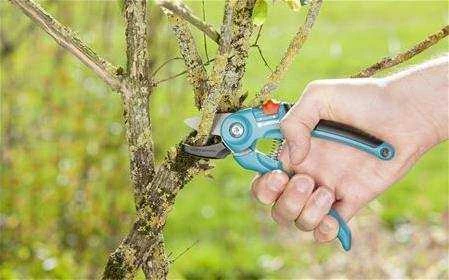 Gardena 8855 Bahçe Budama Makası A/S - 3