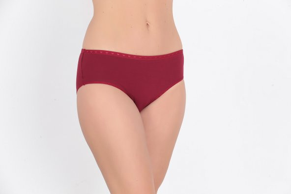 Yumuşak Dokulu Günlük Kadın Külot Bordo ürün görseli