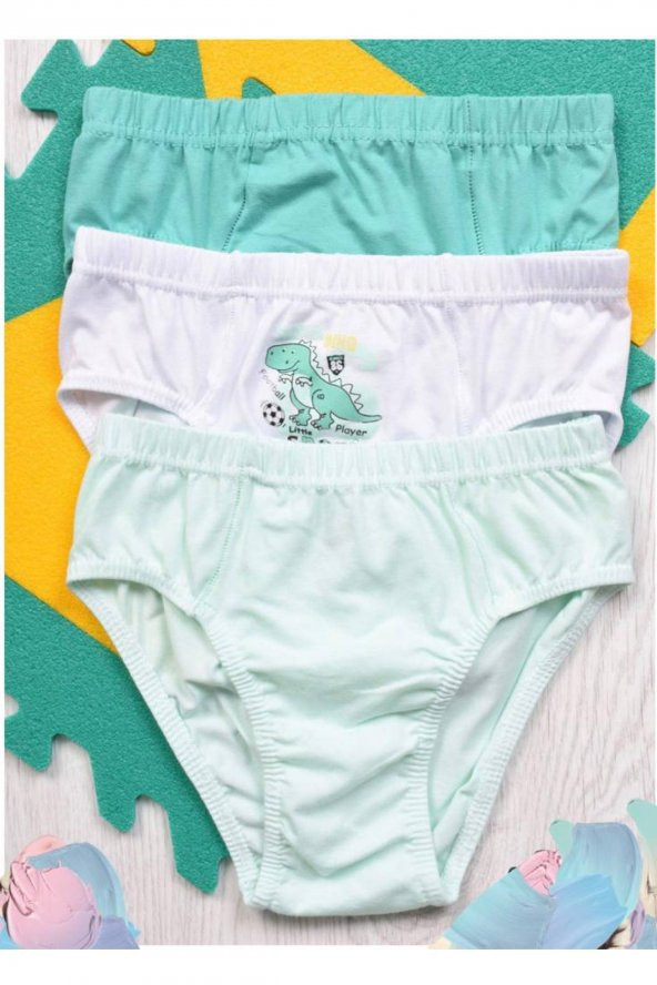 Erkek Çocuk Desenli 3Lü Külot ürün görseli