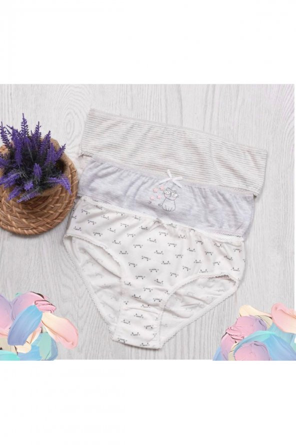 Kız Çocuk Desenli 3Lü Külot ürün görseli