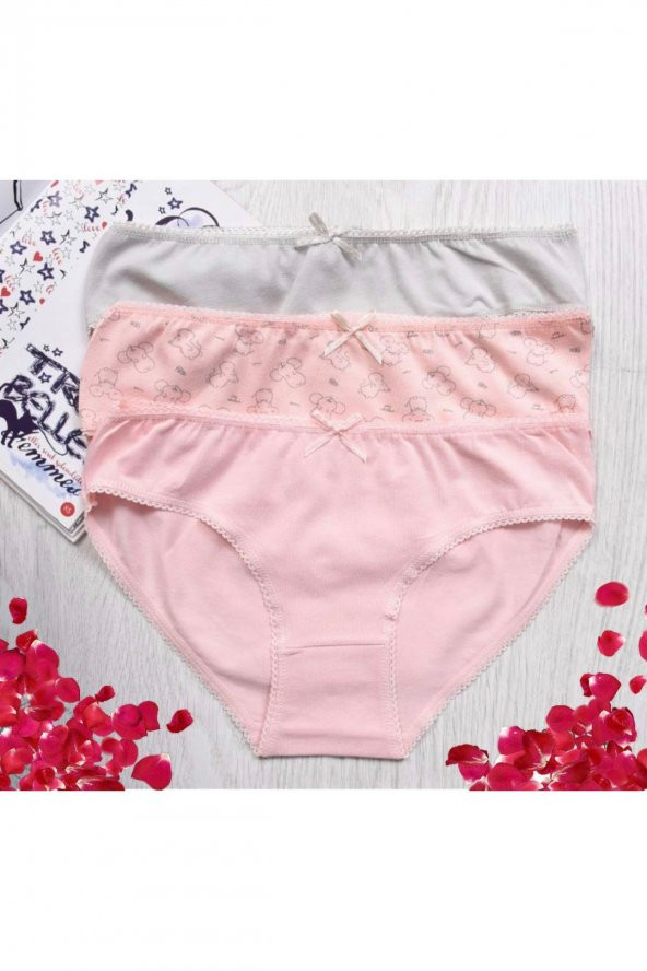 Kız Çocuk Desenli 3Lü Külot ürün görseli