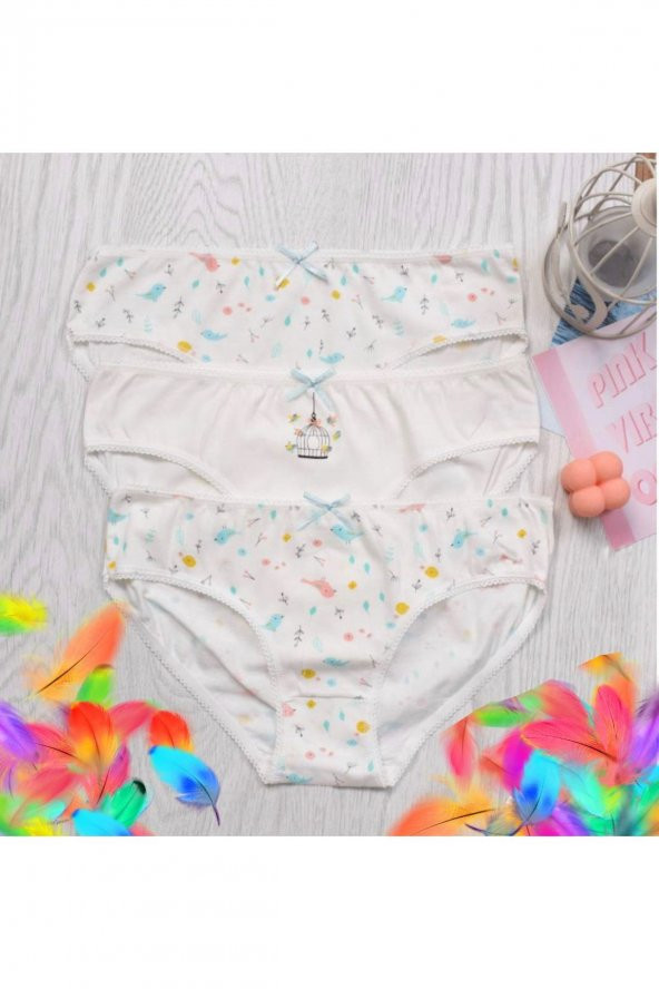 Kız Çocuk Desenli 3Lü Külot ürün görseli