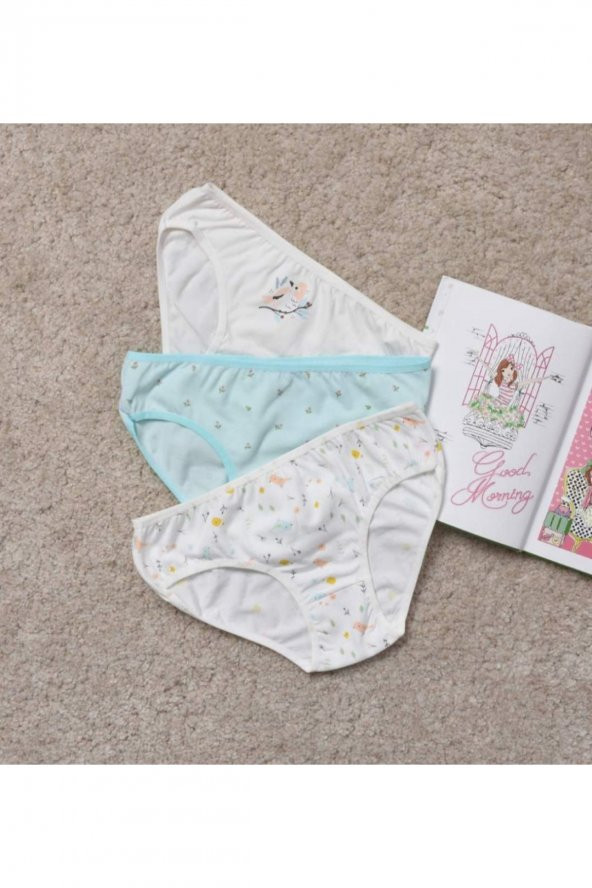 Kız Çocuk Desenli 3Lü Külot ürün görseli