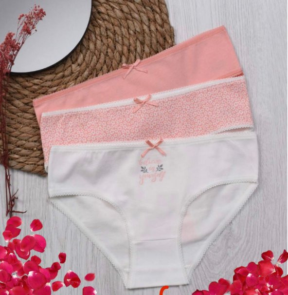 Kız Çocuk Desenli 3Lü Külot ürün görseli