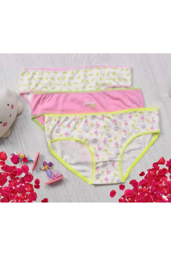 Kız Çocuk Desenli 3Lü Külot ürün görseli