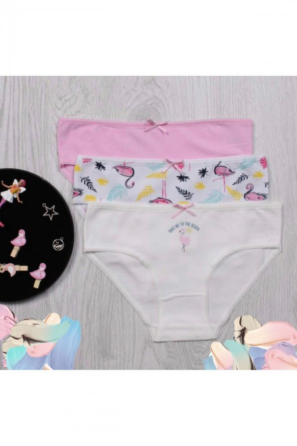 Kız Çocuk Desenli 3Lü Külot ürün görseli