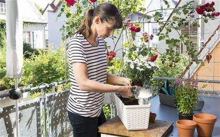 Gardena 8707 Balkon Bitki Budama Makası - 4