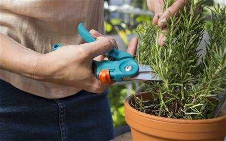 Gardena 8707 Balkon Bitki Budama Makası - 3