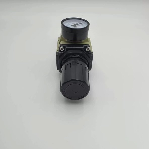 Filtre Regülatör Ew 5000 - 1" - Resim 8