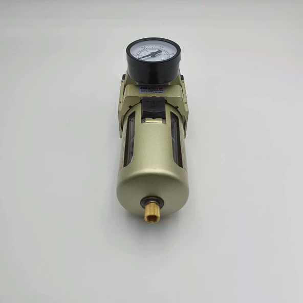 Filtre Regülatör Ew 5000 - 1" - Resim 6