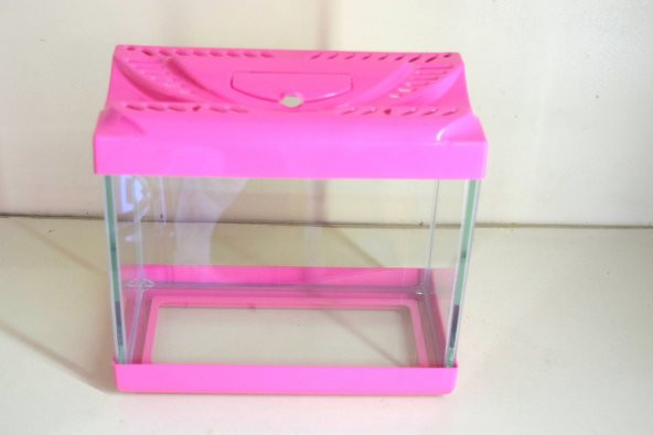 Girist Pet Beta Balıklar İçin Pembe Renk Mini Akvaryum 22,5x20x11,5 - 2