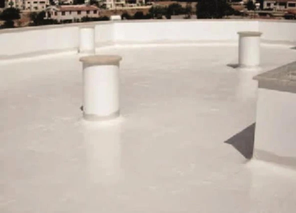 DryFix Polymer100 Polimer Esaslı Su Yalıtım Malzemesi 18 Kg Beyaz - 4