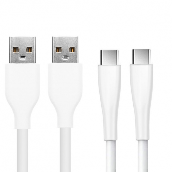 PL-S01 Data Cable Type-C Şarj Kablosu 2 Li Set - 2