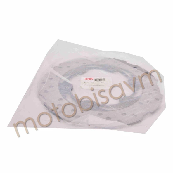 ARKA FREN DİSKİ NS 200 - 2